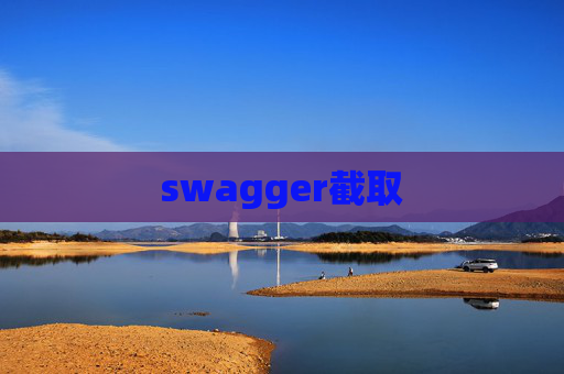swagger截取