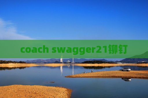 coach swagger21铆钉
